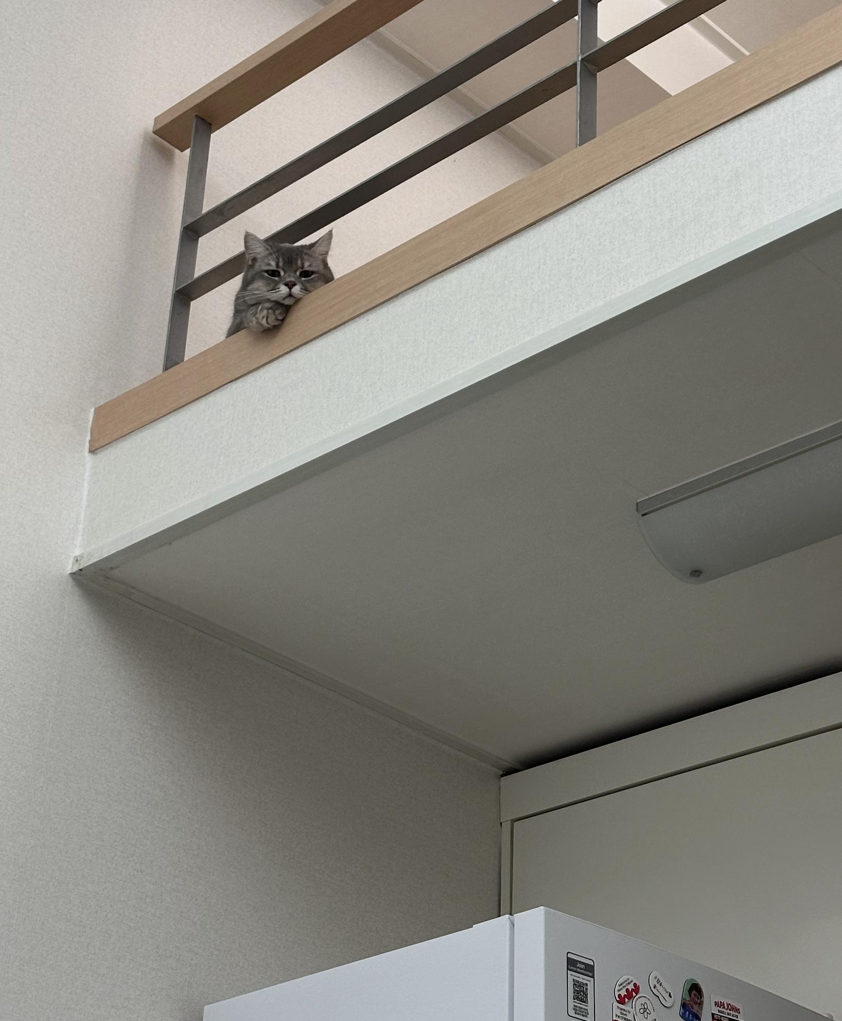 스크린샷 2025-09-17 14.20.28.png.jpg