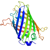 200px-GFP_structure.png