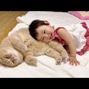 Loving Family Cat Always There For His Little Human Sister