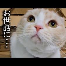 【ご報告】突然ですが引っ越しすることになりました...