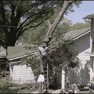 Tree_cutting