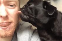 주인님 사랑해요