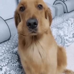 훔쳐 먹은 증거