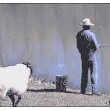 저런 못된 것이 있나