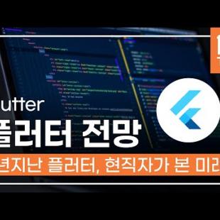 플러터, 1년이 지난 지금 현직자가 본 Flutter의 전망! 장단점을 파헤쳐본다. (feat. 플러터 사용 어플, 응용 예시, Web App, 판교 외국계 회사 개발자 플러터)