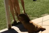 죽어도 목욕은 싫어