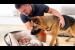 German Shepherd Meets Newborn Baby for the First Time!