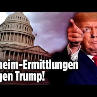 [독일 Bild紙] Trump will zurück ins Weiße Haus: „Sturm auf das Capitol“ könnte das verhindern | Wahl 2024