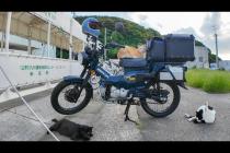 猫「帰さんぞ!」バイク前で謎の圧力をかけてくる猫たちが怖かわいいw