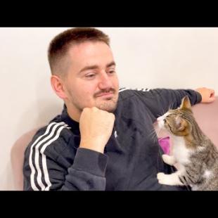 Funny Cat Demands Attention from Human Dad