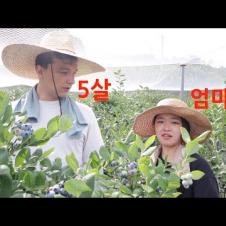 한국 시골 국제 커플의 찐 사랑