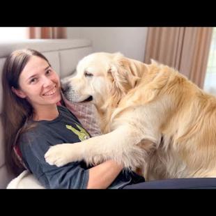 Golden Retriever Reaction when his Human Mom Pays Attention to the Kitten