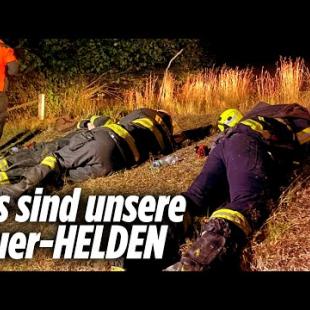 [독일 Bild紙] Feuerwehr kämpft bis zur Erschöpfung gegen Waldbände | Sächsische Schweiz