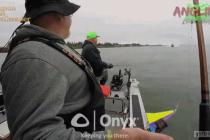 세상에  저런일이