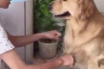 맞춘줄 알았는데