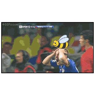 Soccer_bee