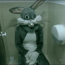 욕실 토끼