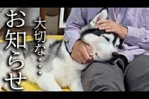 今まで応援してくださった皆様へ大切なお知らせ...