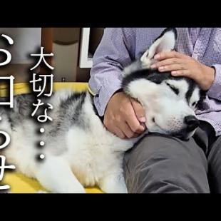 今まで応援してくださった皆様へ大切なお知らせ...