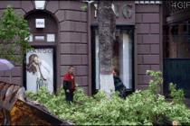 1초만 늦었어도 천당행이 될뻔~~~