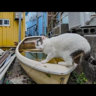 押すなよ！絶対に押すなよ！