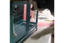 멍석 깔아 줄께 해봐