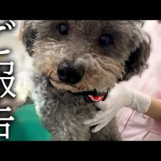 【ご報告】病院でドクターに言われた衝撃的な言葉...