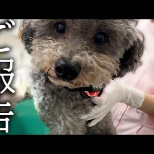 【ご報告】病院でドクターに言われた衝撃的な言葉...