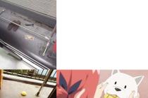 태풍이 준 선물