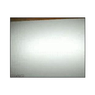 새. 눈사람. 말 그림 그리기