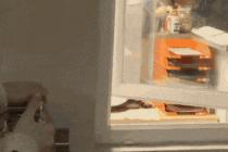 딸그락 소리에...