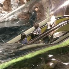 물 속으로가는 에스컬레이터