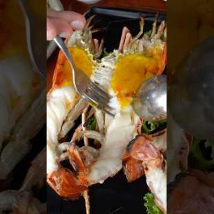 Giant Thai River Prawn Packed Full of Head Butter! #thaifood