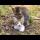 Kittens living on the street play incredibly cute games