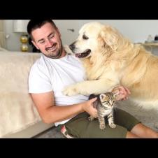 Jealous Dog ATTACKS Me for Petting Kittens