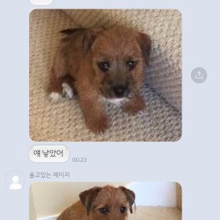 복사 붙여넣기