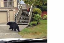 인정할 수밖에 없는 배송지연