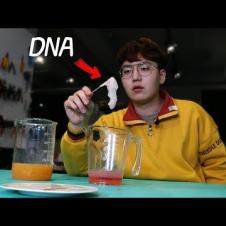 DNA는 과연 무슨 맛일까?ㅋㅋㅋㅋ한번 먹어봤습니다ㅋㅋㅋㅋ
