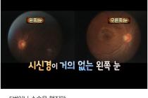 프랑스 대학교 학칙을 바꾼 한국 유학생