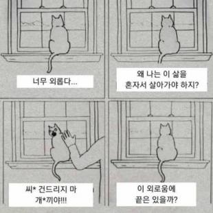 나는 고독한 고양이