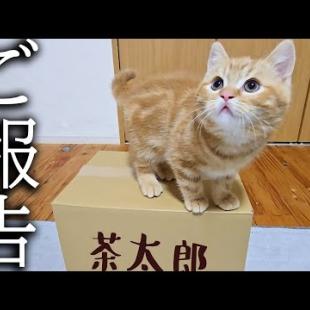 【ご報告】訳あって引っ越しすることになりました。