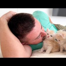 Kittens React to My Kisses — Their Love Is Unreal
