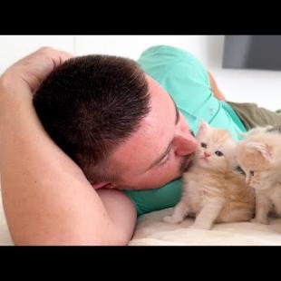 Kittens React to My Kisses — Their Love Is Unreal