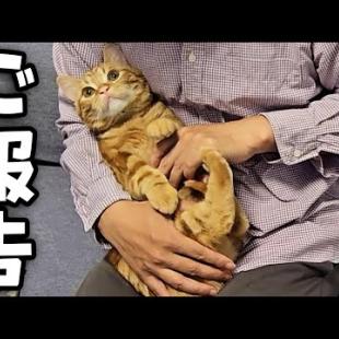 【ご報告 】ついにこの時がやってきてしまいました...