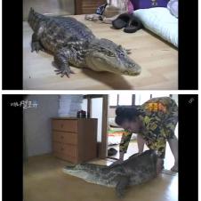 싱글벙글 광기 가득했던 2000년대 초반