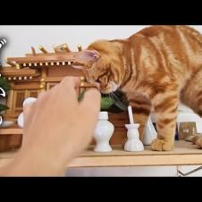 外出中に警報がなったので急いで家に引き返したら猫達が...