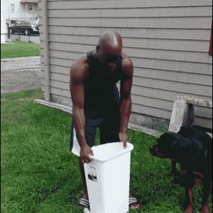 Ice-bucket-challenge-scares-dog