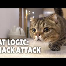 Cat Logic: Snack Attack