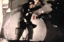 무중력에서 동물 모습