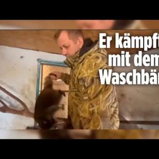 [독일 Bild紙] Nach seiner Freilassung: Russe klaut Tiere aus der Ukraine